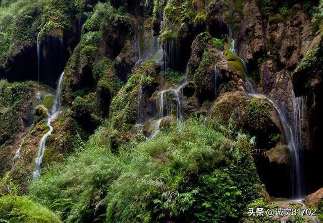 海东首个国家湿地公园生态警务室揭牌